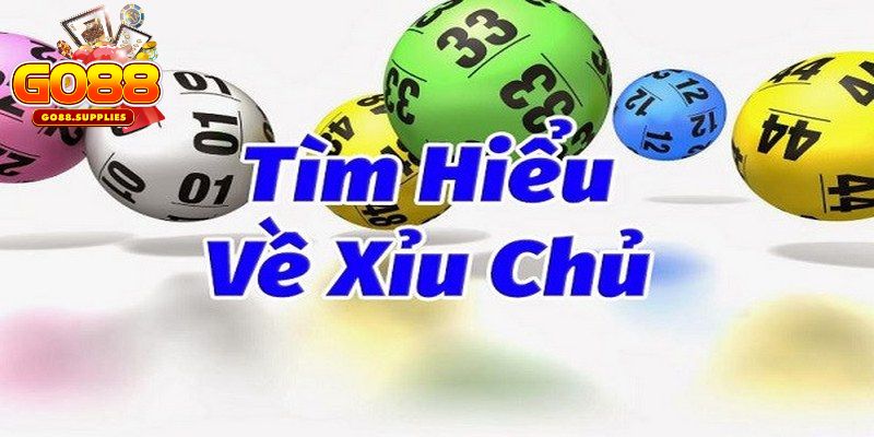 Đôi nét tìm hiểu về khái niệm Xỉu chủ là gì?